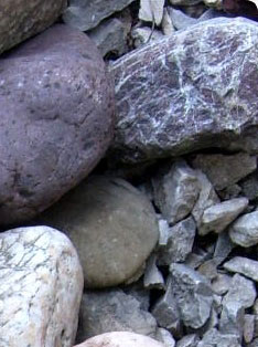 Praxis für Naturheilkunde - Martina Lesch - Heilpraktikerin