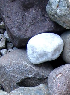 Praxis für Naturheilkunde - Martina Lesch - Heilpraktikerin